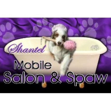 Shantel Mobile Salon And Spaw