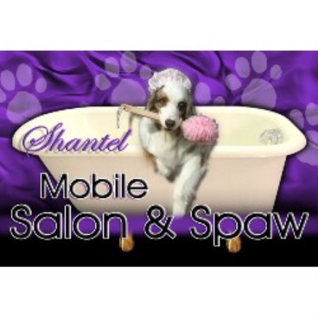 Yucaipa Dog Grooming Yucaipa Dog Grooming