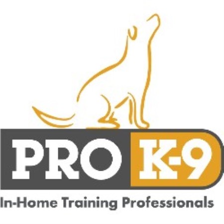 Pro K-9 | In-Home Training Professionals