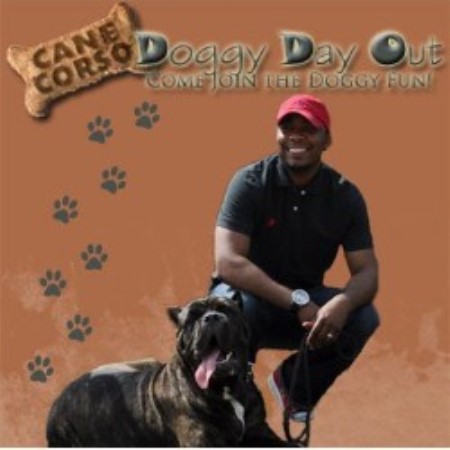 Best Dallas Dog Groomer Best Dallas Dog Groomer