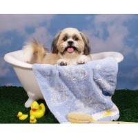 Robin's Nest Dog Sitting Marlton New Jersey Logo 