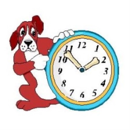 Dog Grooming Staten Island Dog Grooming Staten Island