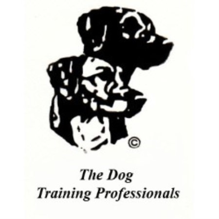 K9 Training "the Dog Training Professionals"