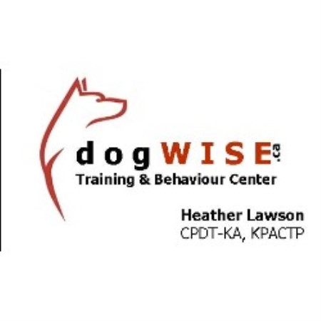 Dogwise Training & Behaviour Center