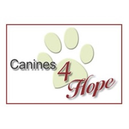grooming stuart fl canines 4 stuart florida 34997 grooming stuart fl canines 4 stuart florida 34997