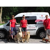 A Leg Up Pet Services Toronto Ontario Logo 