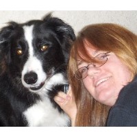 Walk A Pet Plus Hillsdale Ontario Logo 