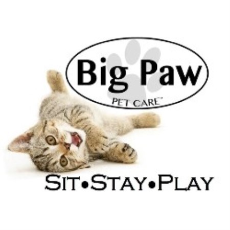 Big Paw Pet Care