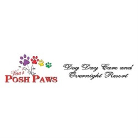 Vera's Posh Paws Dog Daycare And Dog Boarding Moore