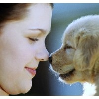 Marley's Dog Days Erie Pennsylvania Logo 