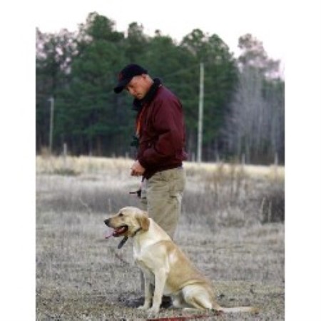 Cedar Swamp Retrievers