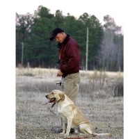 Cedar Swamp Retrievers Lamar South Carolina Logo 
