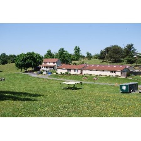 Belquest Kennels & Cattery