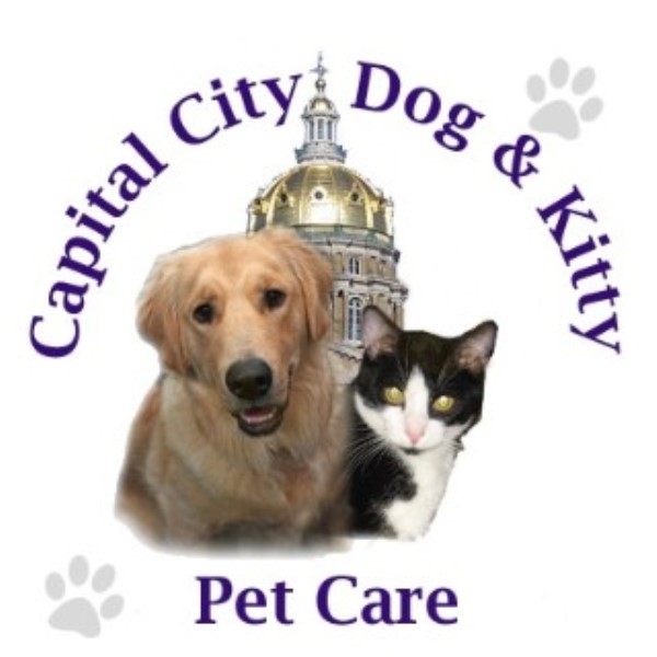 Best Dog Boarding Des Moines Best Dog Boarding Des Moines