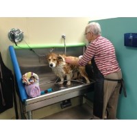 Purr Y Paws Parker Colorado Logo 