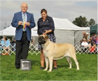 Ashber Farm Floresville Texas Logo 