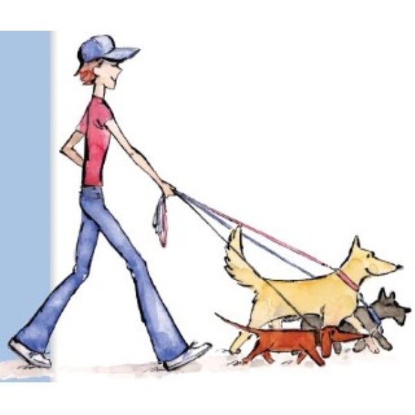 Mason's Mongrel's Dog Training