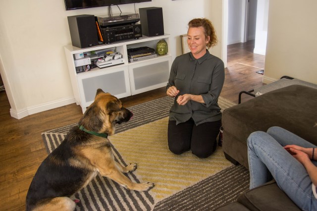 Dog Savvy Los Angeles