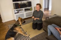 Dog Savvy Los Angeles Los Angeles California Logo 