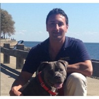 Bark Busters Home Dog Training Norwalk Connecticut Logo 