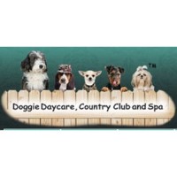 Camp Canine Hollywood Florida Logo 