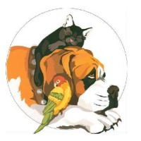 A Precious Pet Resort Henniker New Hampshire Logo 