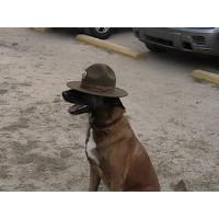 Moland Dog Training Severn Maryland Logo 