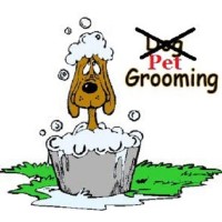 Unleashed Creations Punxsutawney Pennsylvania Logo 