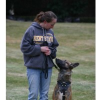 Aim High K9 Youngstown Ohio Logo 