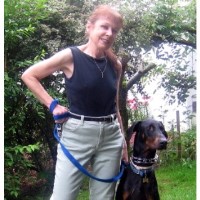 Animal Friends/dog Trainer Bothell Washington Logo 