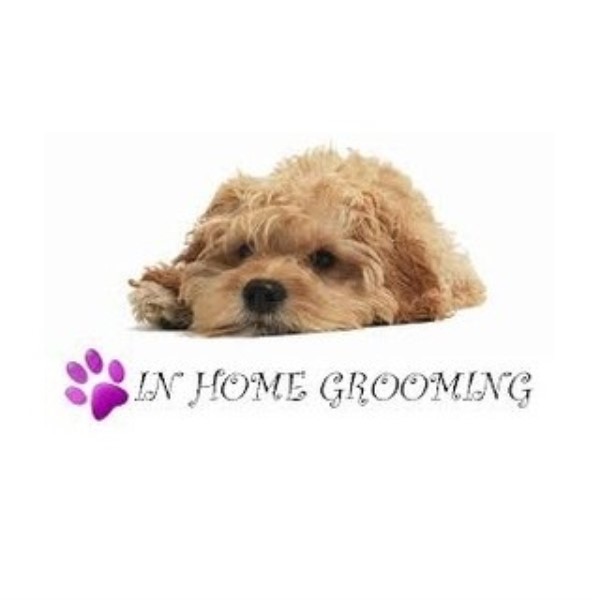 Andrea's Country Cuts