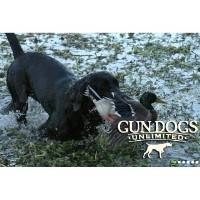 Gun Dogs Unlimited Cleveland Georgia Logo 