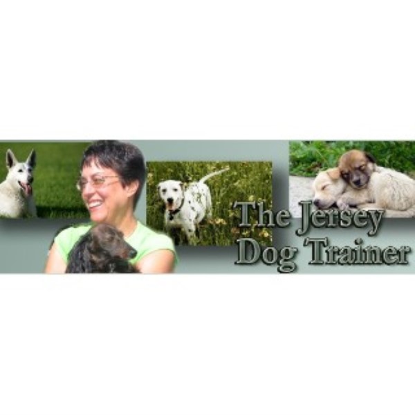 The Jersey Dog Trainer