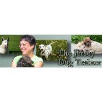 The Jersey Dog Trainer Berlin New Jersey Logo 