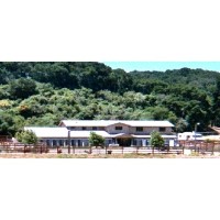 The Kennels Of Springdale Arroyo Grande California Logo 