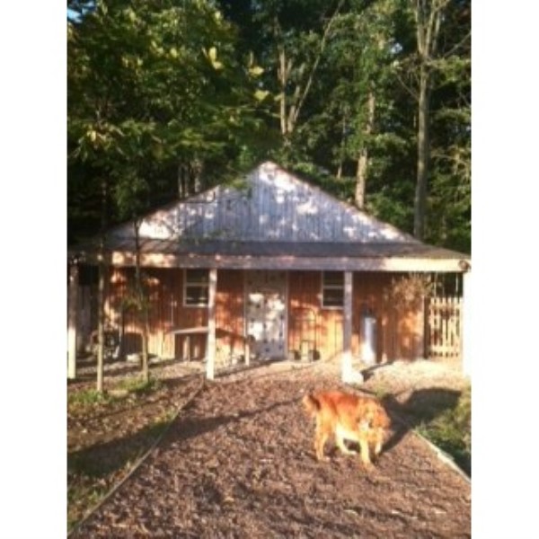 golden meadow farm/copperbottom kennels