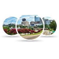 RaleighDogWalkers.com Raleigh North Carolina Logo 