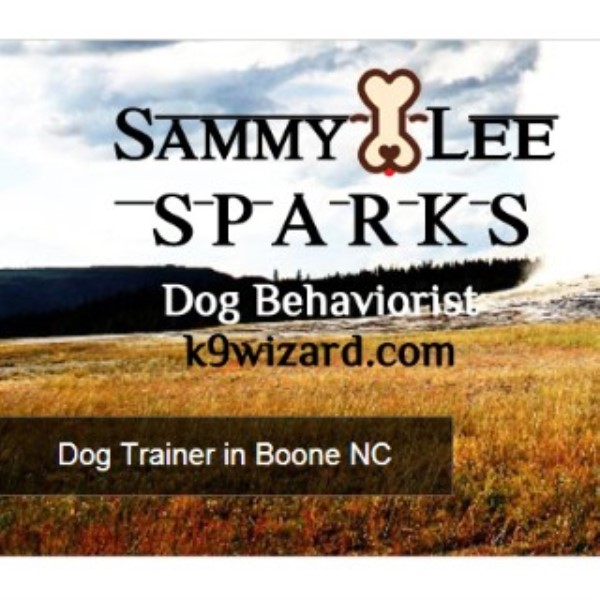 K9 Wizard Dog Training