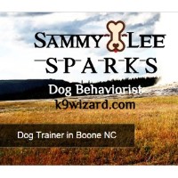 K9 Wizard Dog Training Alexandria Virginia Logo 