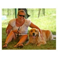 Ivy League Dog Training Falmouth Maine Logo 