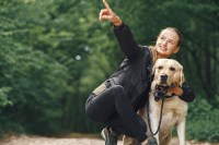 Always Faithful Dog & Puppy Training Boston MA Boston Massachusetts Logo 