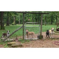 The Paw Paw Patch Signal Mountain Tennessee Logo 