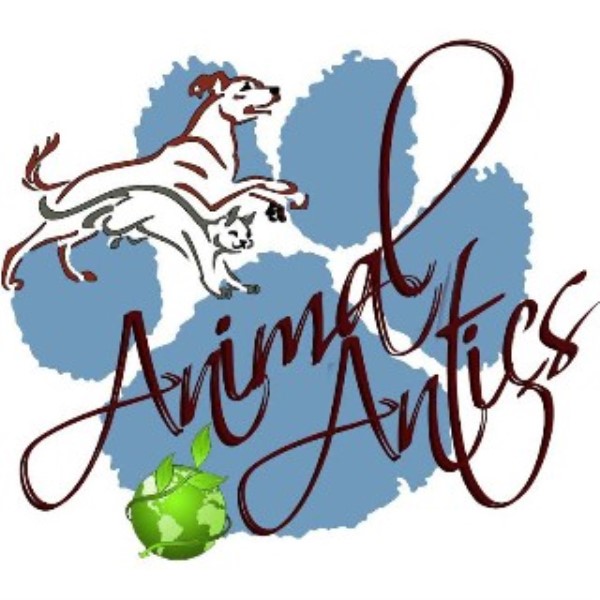 Animal Antics LLC