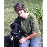 True North Training Cambridge Minnesota Logo 