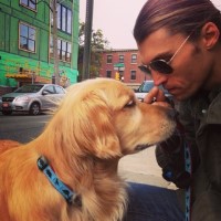 American Dogs LLC Philadelphia Pennsylvania Logo 