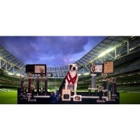 Micmac Teaching For K9s Waxahachie Texas Logo 