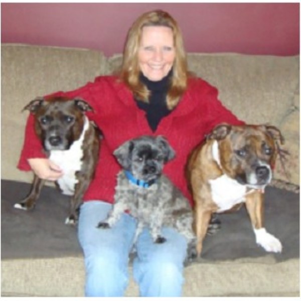 Canine Homeschooling And Obedience