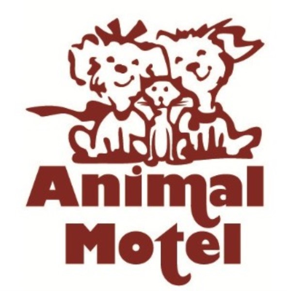 Animal Motel