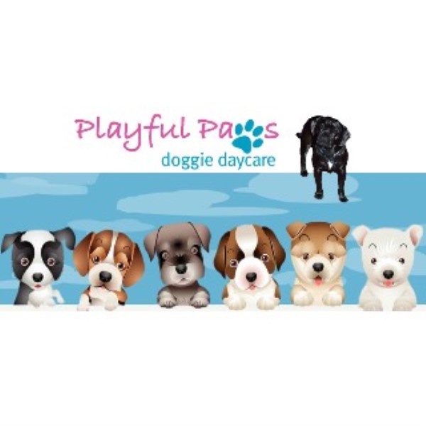 Playful Paws Doggie Daycare