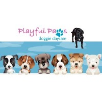 Playful Paws Doggie Daycare Salem Massachusetts Logo 